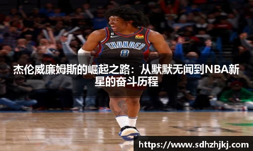 hth华体会体育