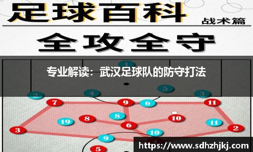 hth华体会