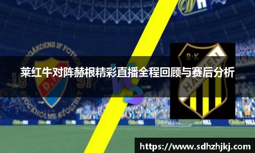 莱红牛对阵赫根精彩直播全程回顾与赛后分析