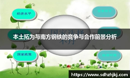 本土拓为与南方钢铁的竞争与合作前景分析